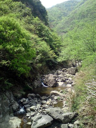 Wulongtan