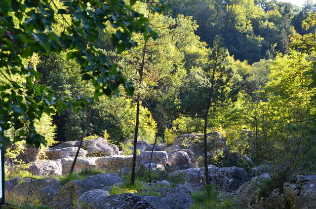 Les gorges du Fier