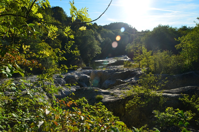 Les gorges du Fier