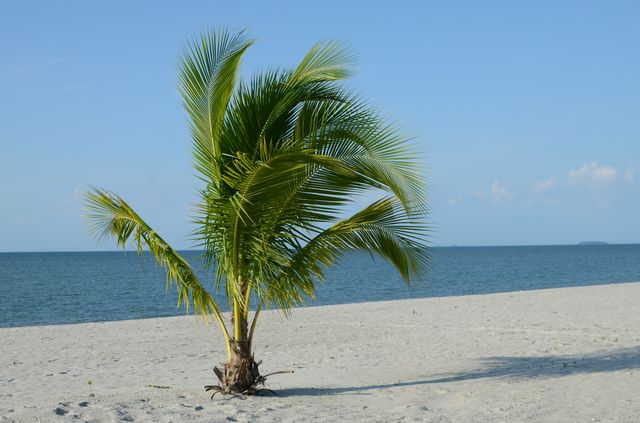 Malaisie - Langkawi