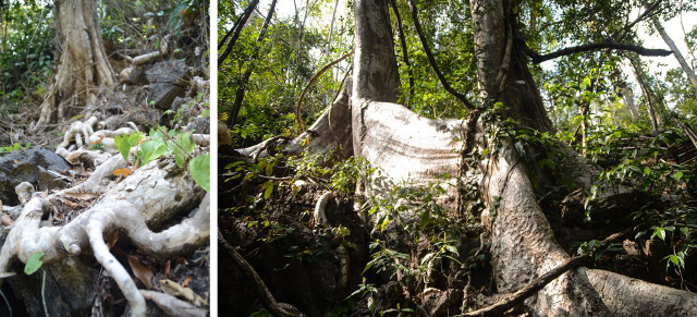 Langkawi - Pulau Langgun