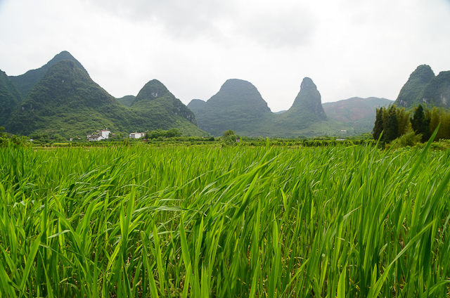 Yangshuo - Yulong River