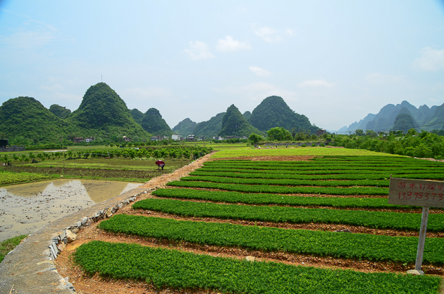 Yangshuo - Yulong River