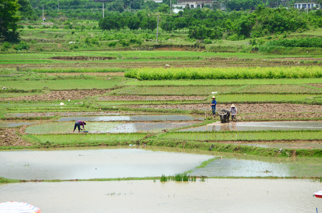 Yangshuo - Yulong River