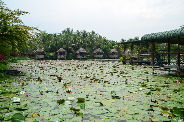 Jong's crocodile farm