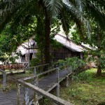 Iban Longhouse