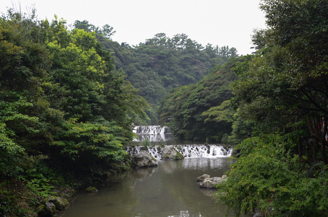 Cheonjiyeon Popko