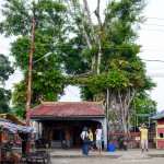 Banyan Tree Temple