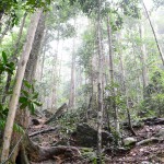 Gunung Bintan Besar