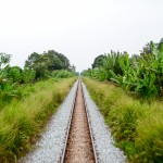 Paysages de Malaisie et de Thaïlande