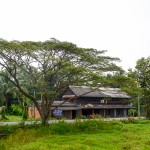 Paysages de Malaisie et de Thaïlande