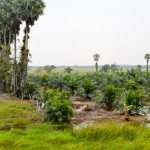 Paysages de Malaisie et de Thaïlande