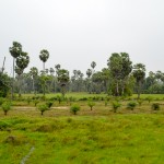 Paysages de Malaisie et de Thaïlande